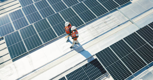 Best Roof Moss and Algae Removal  in Elizabeth, NJ